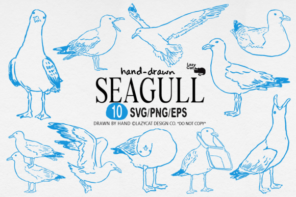 Download Seagull Hand Drawn Clipart SVG PNG - Premium Resources