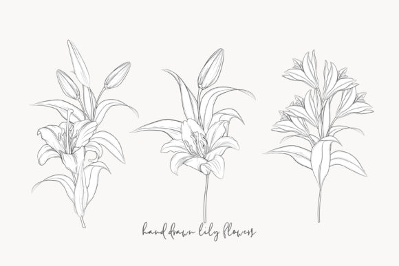 Download Illustration Floral Bouquet Set - Bouquet Collection